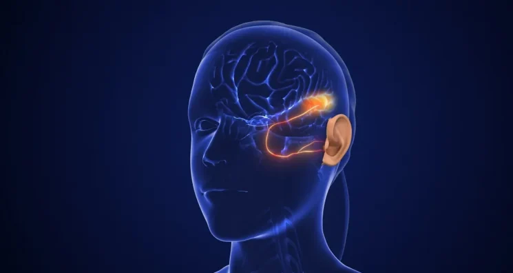 Researchers Find a Potential Target for Hearing Loss