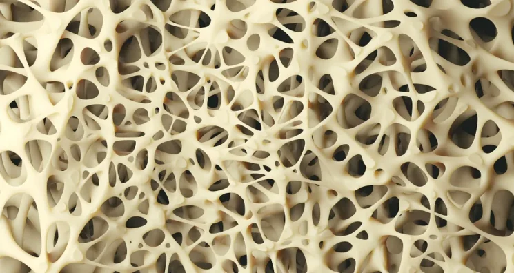 A Key Molecular Link Between Aging and Osteoporosis