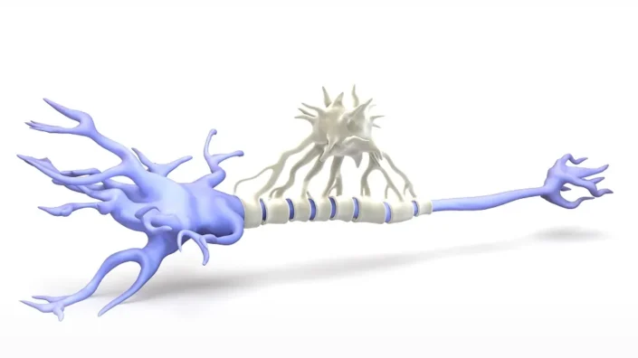 Microglial cell on neuron