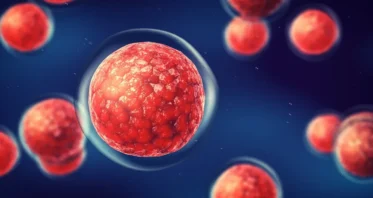 Human Umbilical Cord Blood Metabolites Lengthen Worms’ Lives