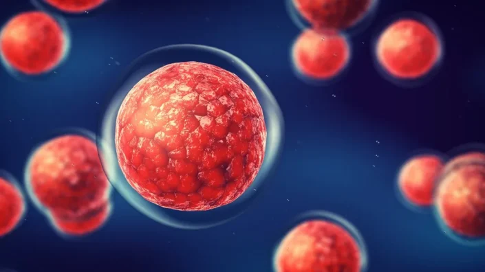 Suspended stem cells