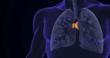 Producing Thymic Factors in the Liver Rejuvenates Immunity