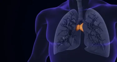 Producing Thymic Factors in the Liver Rejuvenates Immunity