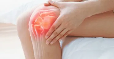 A Small Molecule Regenerates Cartilage in Aged Mice