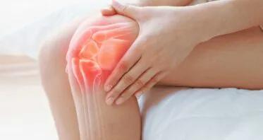 A Small Molecule Regenerates Cartilage in Aged Mice