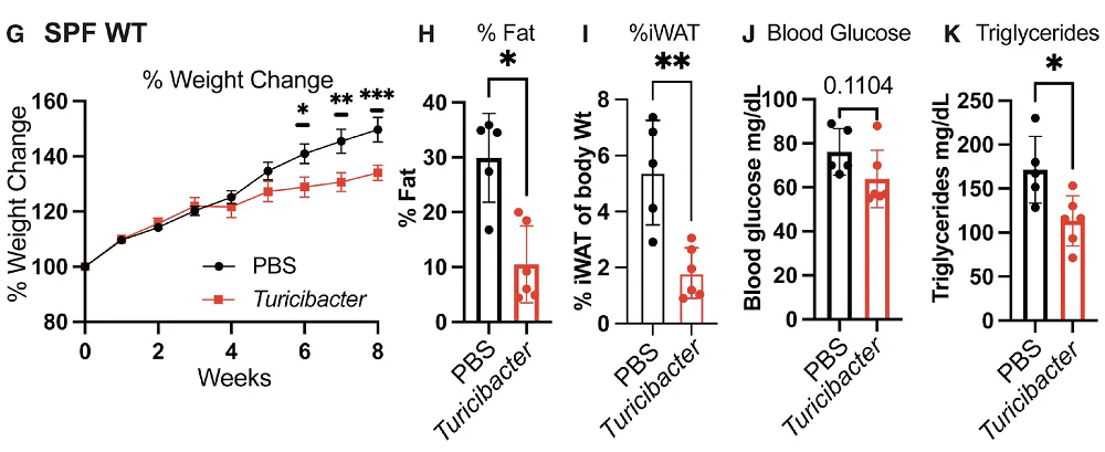 Bacterium lipid effects