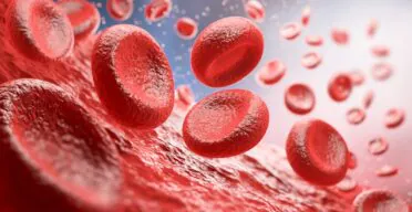 A New Look at How Blood Stem Cells Age