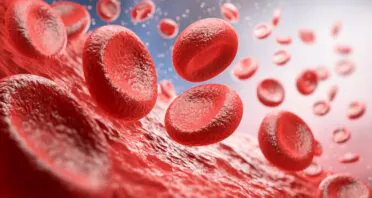 A New Look at How Blood Stem Cells Age