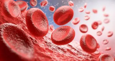 A New Look at How Blood Stem Cells Age