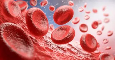 A New Look at How Blood Stem Cells Age