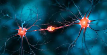 Recombinant Human Protein Stops Neuronal Loss in Alzheimer’s