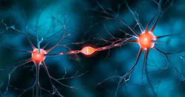 Recombinant Human Protein Stops Neuronal Loss in Alzheimer’s