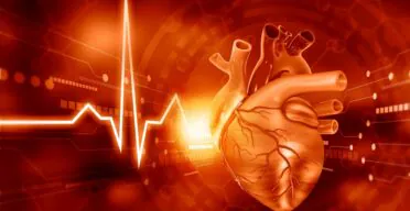 A Protein That Exacerbates Heart Disease With Age