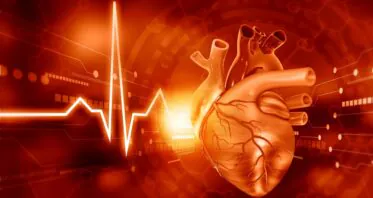 A Protein That Exacerbates Heart Disease With Age