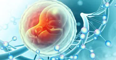 Using Placental Cells to Test Anti-Aging Compounds