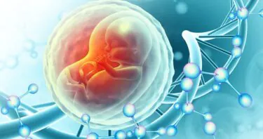 Using Placental Cells to Test Anti-Aging Compounds