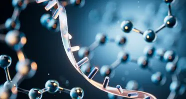 How Harmful Extracellular Vesicles Cause Brain Inflammation