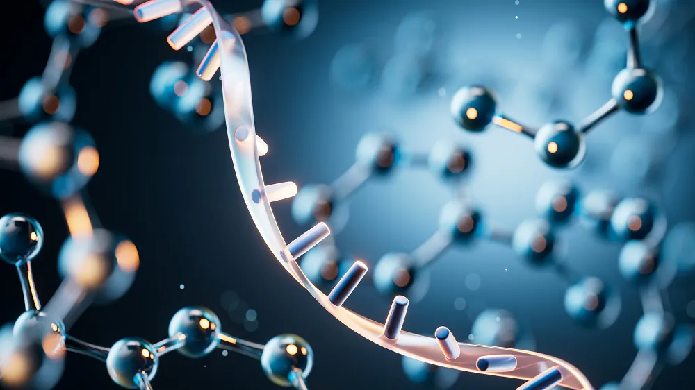 How Harmful Extracellular Vesicles Cause Brain Inflammation