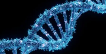 Vast Majority of Alzheimer’s Cases Attributable to One Gene