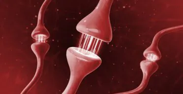 How Senescent Astrocytes Don’t Support Neurons