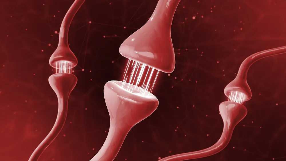 How Senescent Astrocytes Don’t Support Neurons