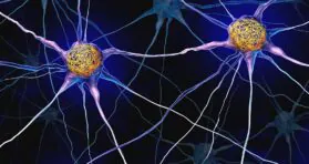 CRISPR-Based Screen Reveals Possible Anti-Tau Mechanism