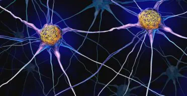 CRISPR-Based Screen Reveals Possible Anti-Tau Mechanism