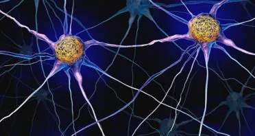 CRISPR-Based Screen Reveals Possible Anti-Tau Mechanism