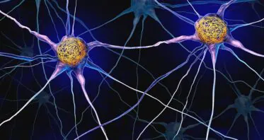 CRISPR-Based Screen Reveals Possible Anti-Tau Mechanism