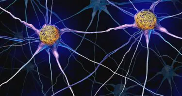 CRISPR-Based Screen Reveals Possible Anti-Tau Mechanism