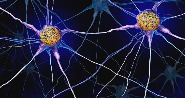 CRISPR-Based Screen Reveals Possible Anti-Tau Mechanism