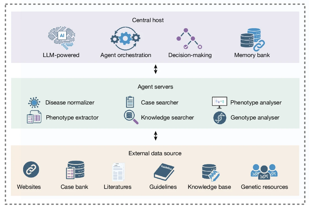 AI Diagnostic Setup