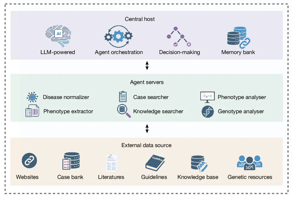 AI Diagnostic Setup