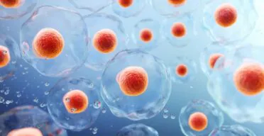 Cellular Reprogramming: The Expert Roundup