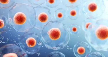 Cellular Reprogramming: The Expert Roundup