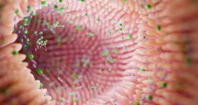 Young Microbes Rejuvenate Intestinal Function in Mice