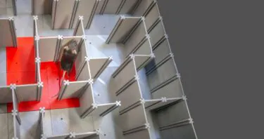 Cellular Reprogramming Rescues Memory-Encoding Neurons