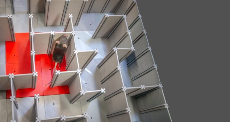 Cellular Reprogramming Rescues Memory-Encoding Neurons