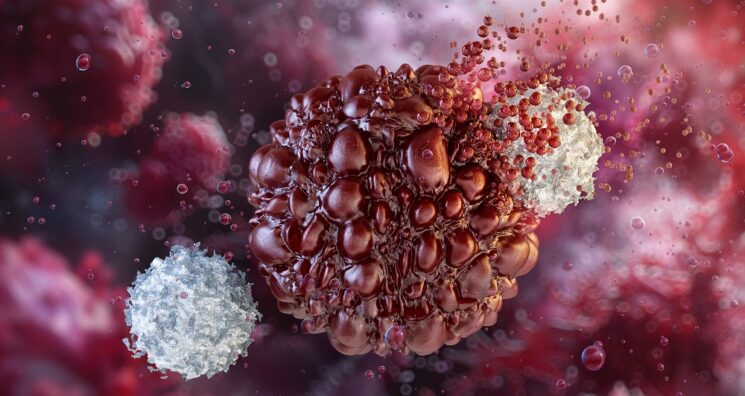 Restoring the Strength of Natural Killer Cells