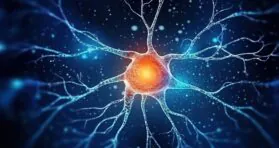 How a Sirtuin Protects Against Brain Diseases