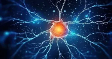 How a Sirtuin Protects Against Brain Diseases