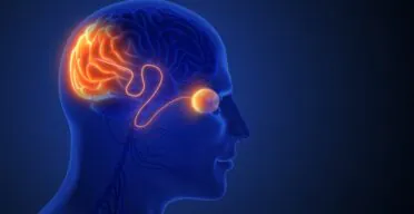 First Human Cellular Reprogramming Trial Cleared by the FDA