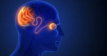 First Human Cellular Reprogramming Trial Cleared by the FDA