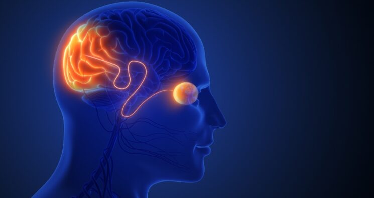 First Human Cellular Reprogramming Trial Cleared by the FDA