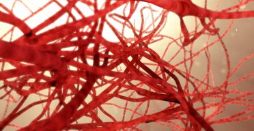 How Zinc Protects Injured Arteries From Accelerated Aging