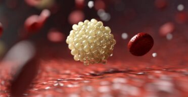 Two Polyunsaturated Lipids Demonstrate Senolytic Activity