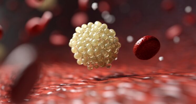 Two Polyunsaturated Lipids Demonstrate Senolytic Activity
