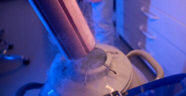 Scientists Successfully Freeze and Rewarm Mouse Brain Slices