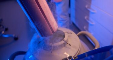 Scientists Successfully Freeze and Rewarm Mouse Brain Slices