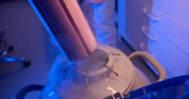 Scientists Successfully Freeze and Rewarm Mouse Brain Slices